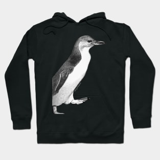 Fairy penguin - black Hoodie